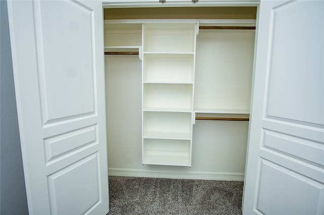 view of closet