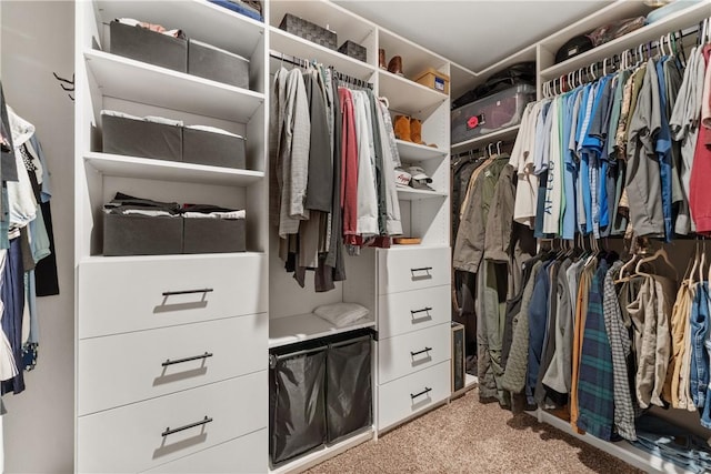 spacious closet featuring light carpet