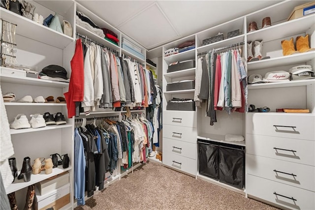 walk in closet featuring light colored carpet