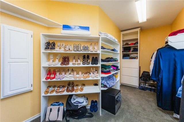 6910 Sir Galahad, Corpus Christi, TX 78413 - spacious closet featuring dark colored carpet