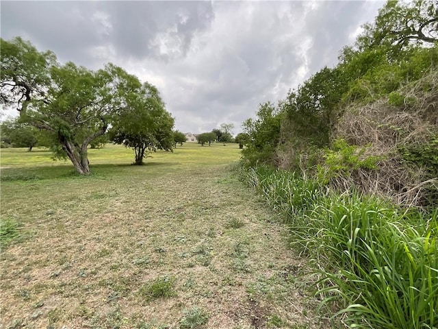 view of landscape