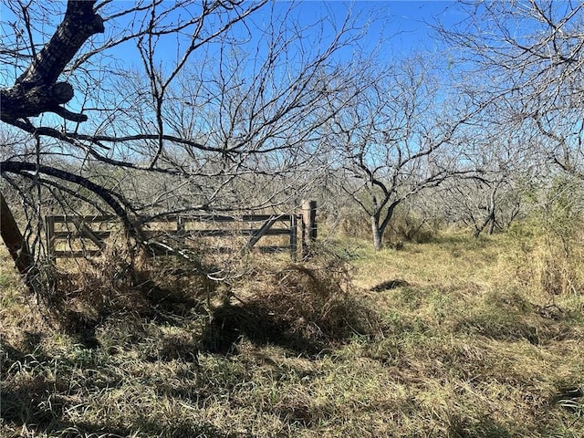 0 N County Road 1016, Kingsville TX, 78363 land for sale