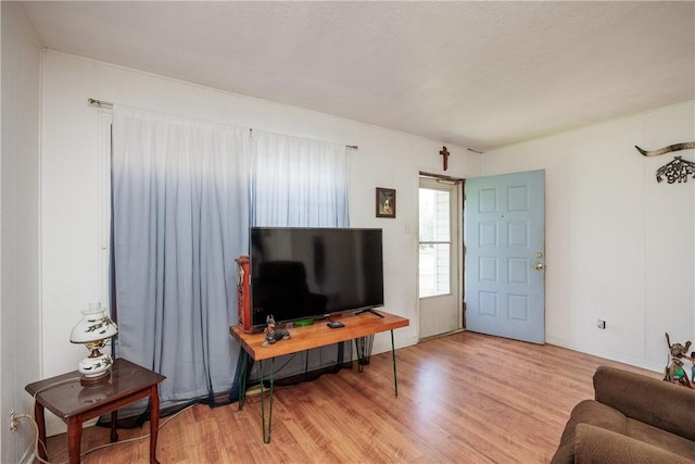 1037 Collingswood Dr, Corpus Christi, TX 78412 - living room featuring wood finished floors