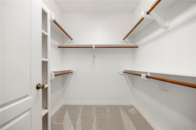 walk in closet featuring carpet floors