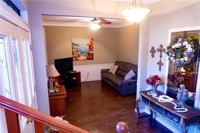 living room featuring a ceiling fan and wood finished floors
