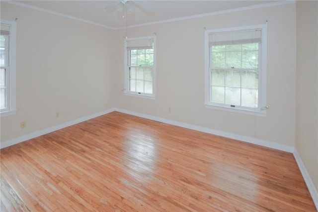 613 Brawner Pkwy, Corpus Christi, TX 78411 - empty room with wood finished floors, ceiling fan, ornamental molding, and baseboards