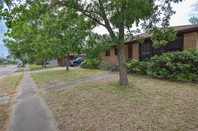 613 Brawner Pkwy, Corpus Christi, TX 78411 - view of green lawn