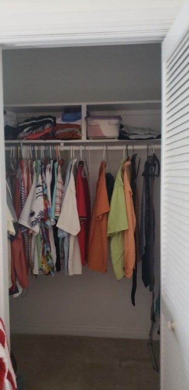 view of closet