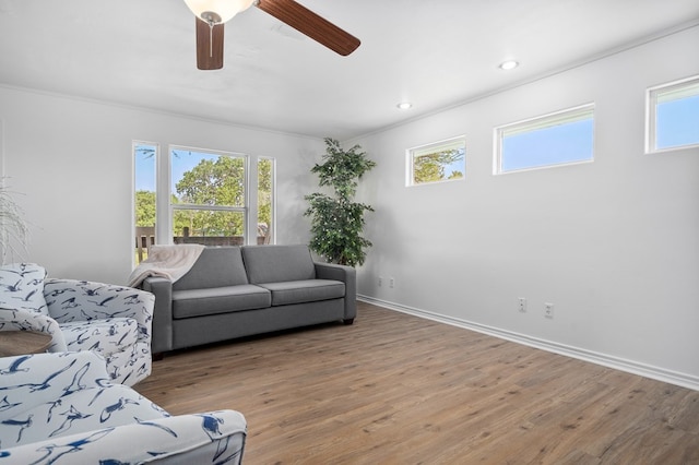 living room featuring wood-type flooring, ceiling fan, and crown molding