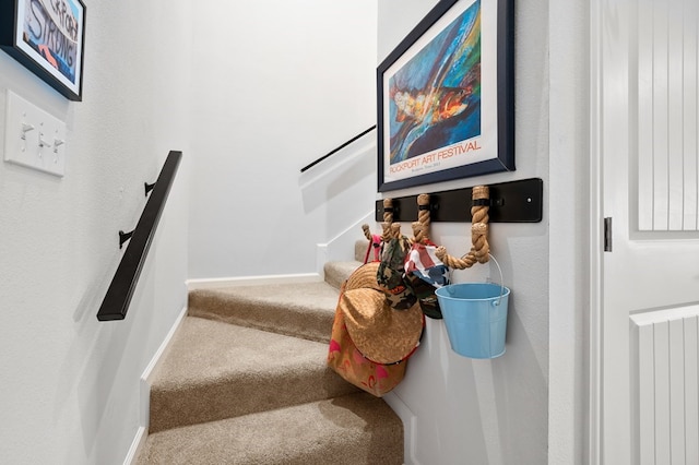 stairs featuring carpet flooring and radiator