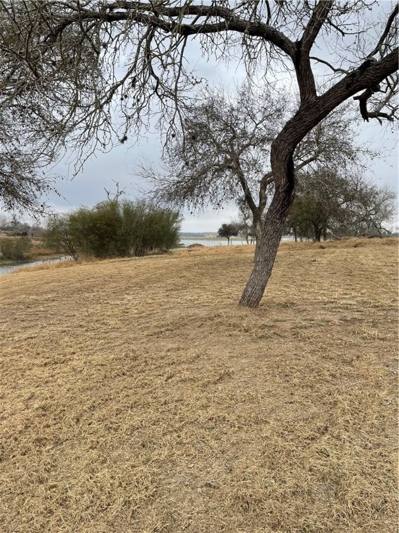 Listing photo 3 for LOT32 Nakishwana Cir, Sandia TX 78383