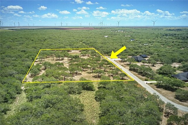 53 Sunny Vale, Mathis, TX 78368 - photo 2