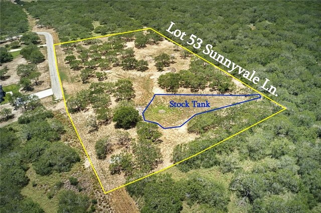 53 Sunny Vale, Mathis, TX 78368 - photo 1