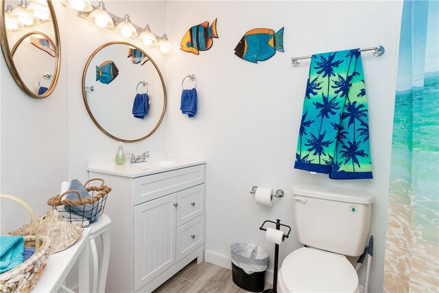 bathroom featuring toilet, vanity, and wood-type flooring