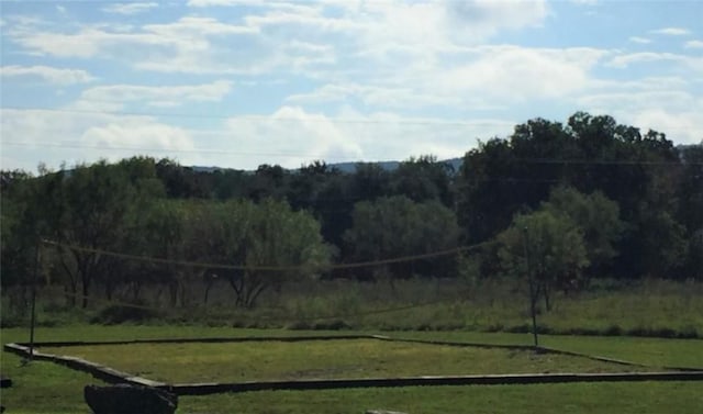197 N Tomahawk Way, Concan, TX 78838 - view of green lawn with a forest view