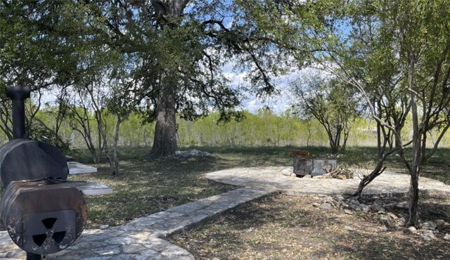 197 N Tomahawk Way, Concan, TX 78838 - view of yard