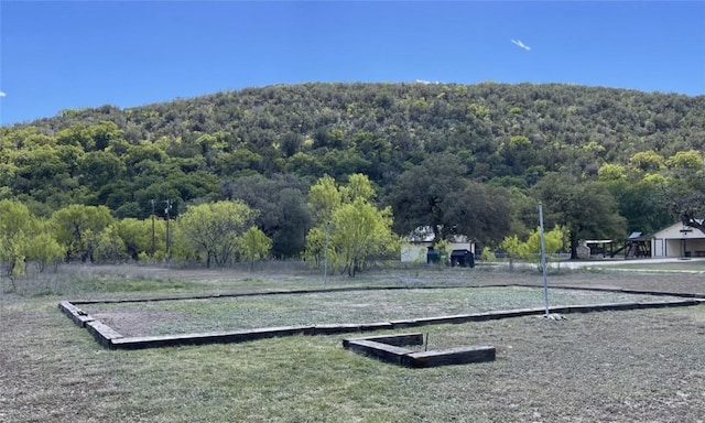 197 N Tomahawk Way, Concan, TX 78838 - view of property's community featuring a view of trees