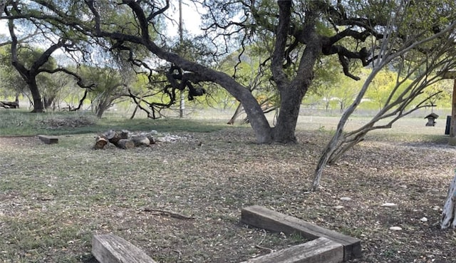 197 N Tomahawk Way, Concan, TX 78838 - view of yard