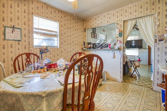 dining area featuring ceiling fan