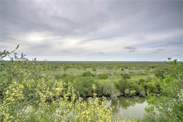 view of nature featuring a water view