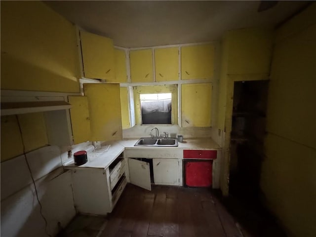 kitchen with dark hardwood / wood-style flooring and sink