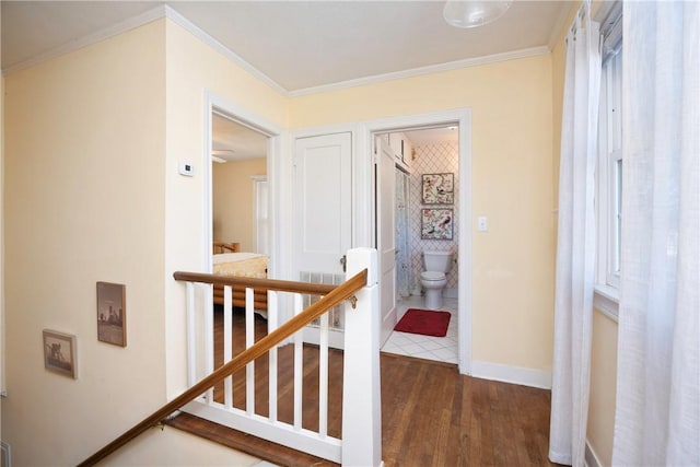 hall with dark hardwood / wood-style floors, radiator, and crown molding