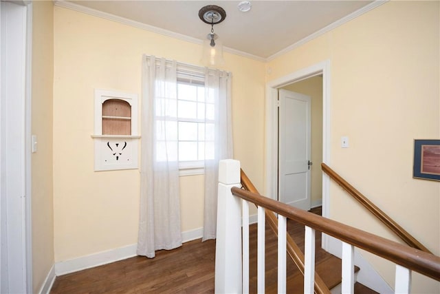 corridor featuring dark hardwood / wood-style floors and ornamental molding