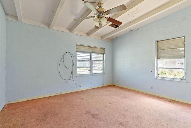 925 Hazel Dr, Corpus Christi, TX 78412 - carpeted empty room with healthy amount of natural light and ceiling fan