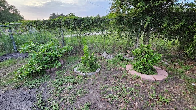 10200 Shane Dr, Corpus Christi, TX 78410 - view of yard