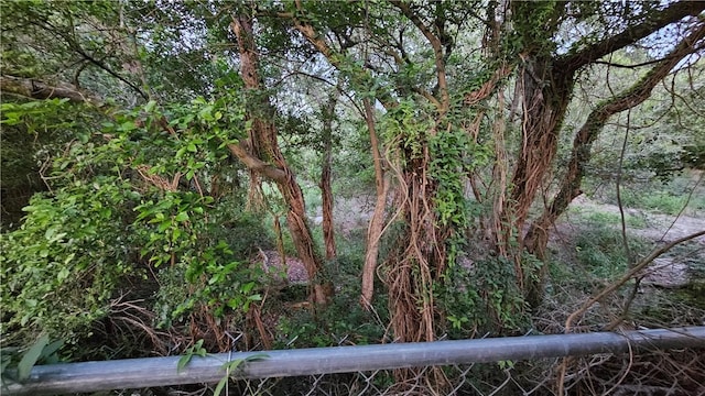 10200 Shane Dr, Corpus Christi, TX 78410 - view of undeveloped land