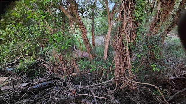 10200 Shane Dr, Corpus Christi, TX 78410 - view of nature