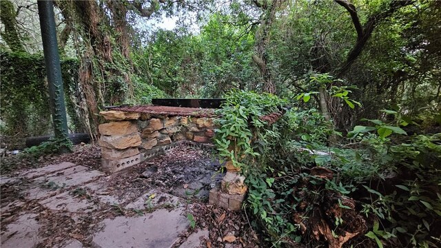 10200 Shane Dr, Corpus Christi, TX 78410 - view of wooded area