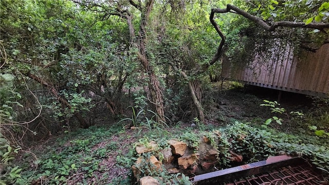 10200 Shane Dr, Corpus Christi, TX 78410 - view of woods