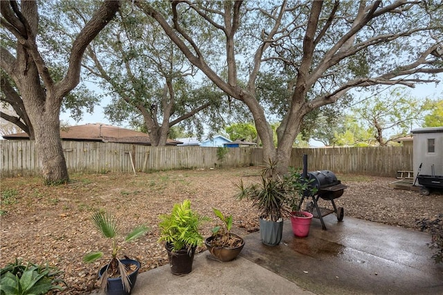 view of yard featuring a fenced backyard and a patio