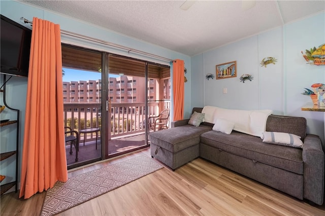 living room with hardwood / wood-style flooring and a textured ceiling