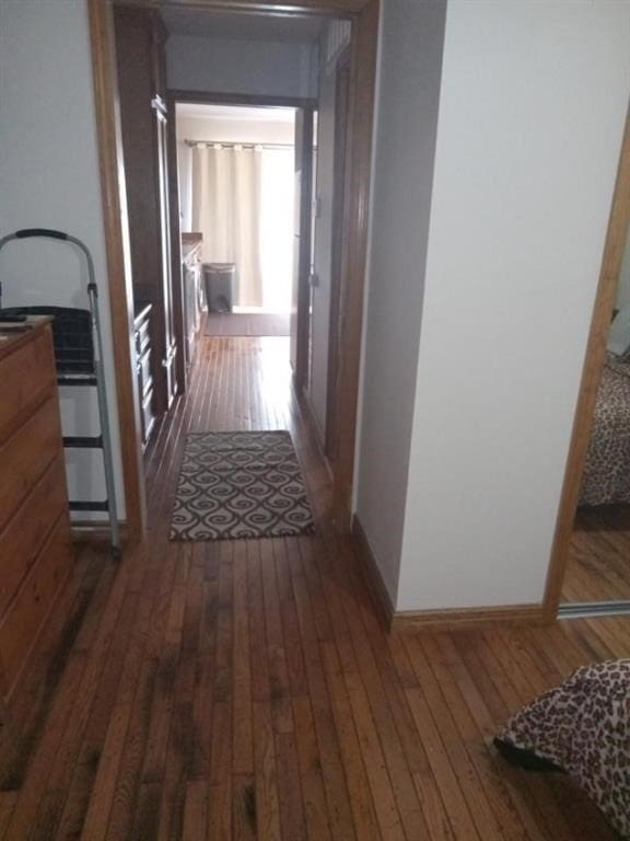 hallway featuring dark hardwood / wood-style flooring