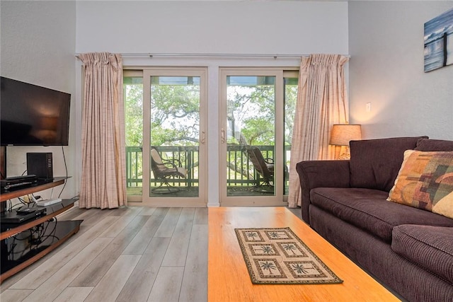 living area with a wealth of natural light and wood finished floors