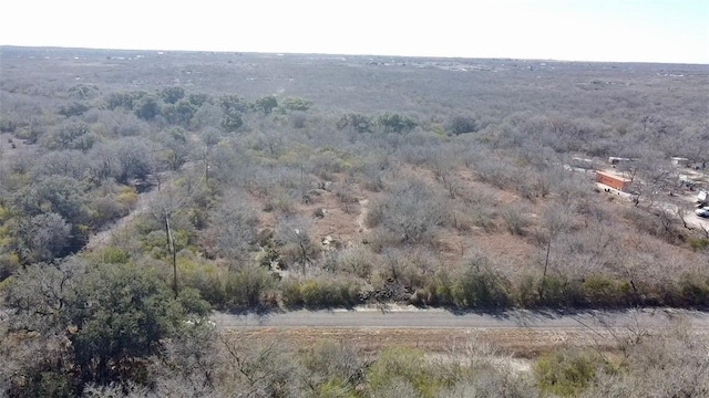 Listing photo 3 for 0000 County Road 230, Orange Grove TX 78372