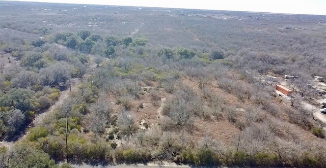 0000 County Road 230, Orange Grove TX, 78372 land for sale