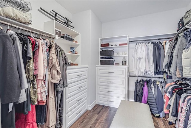 spacious closet featuring dark hardwood / wood-style flooring