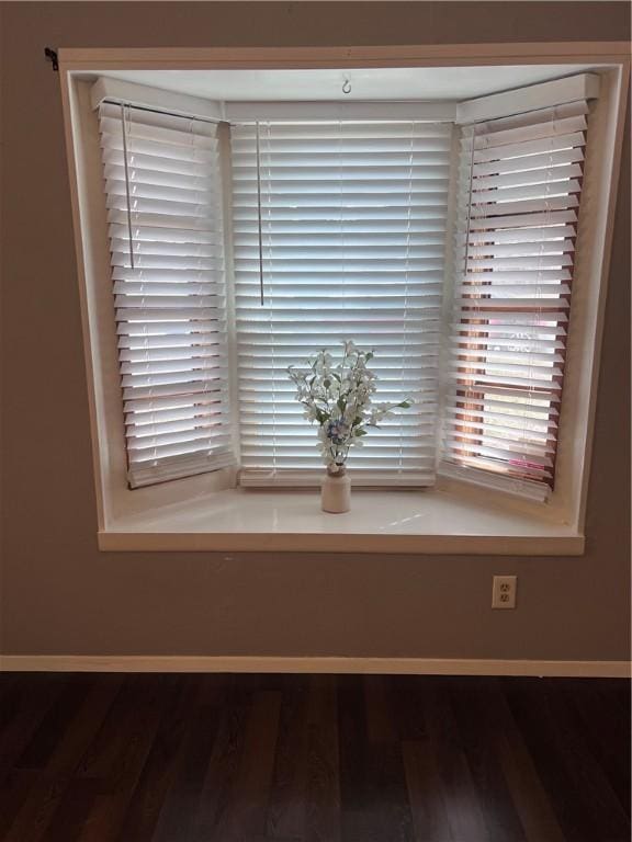 interior details featuring baseboards and wood finished floors