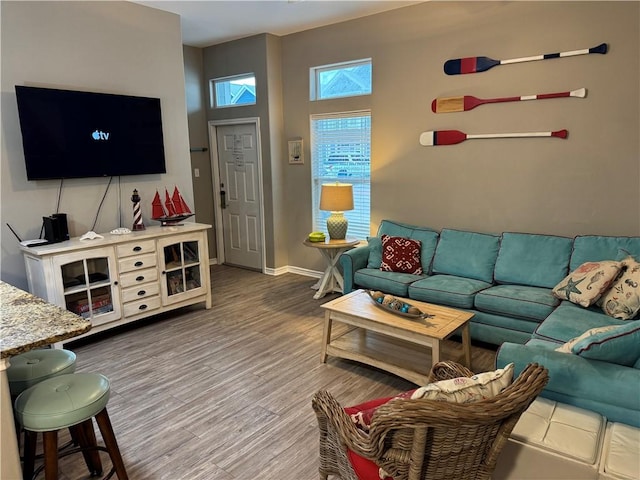 living room with hardwood / wood-style floors