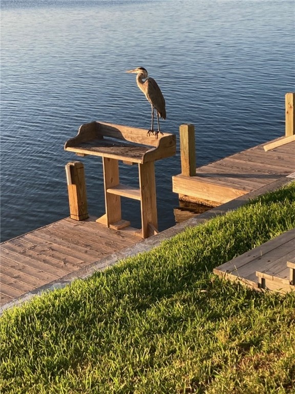 dock area featuring a water view