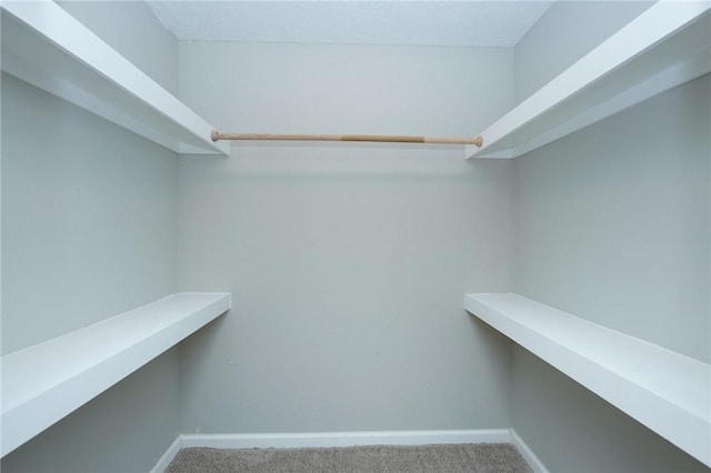 spacious closet featuring carpet