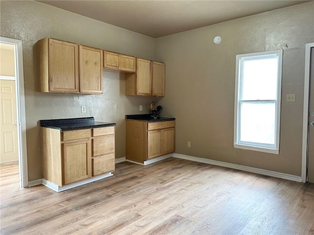 kitchen with light brown cabinets and light hardwood / wood-style flooring