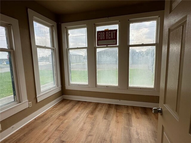 kitchen featuring light hardwood / wood-style floors and sink