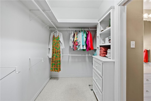 14106 Palo Seco Dr, Corpus Christi, TX 78418 - view of spacious closet
