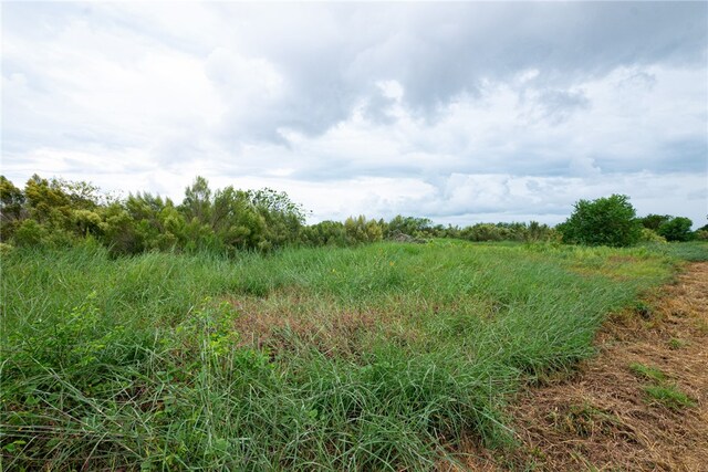 view of nature with a rural view