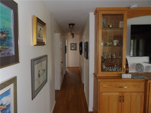 170 Barker Rd, Bayside, TX 78340 - hallway with dark wood-style floors and baseboards