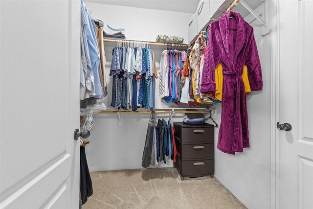 1035 Santa Catalina St, Portland, TX 78374 - spacious closet featuring carpet